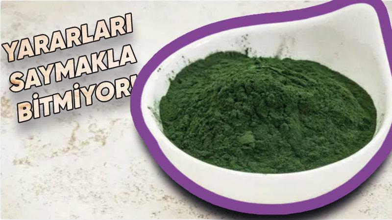 Son Döneminin Popüler Besin Takviyelerinden Biri Olan Bu İlginç Alg Türüyle Tanışın: Spirulina