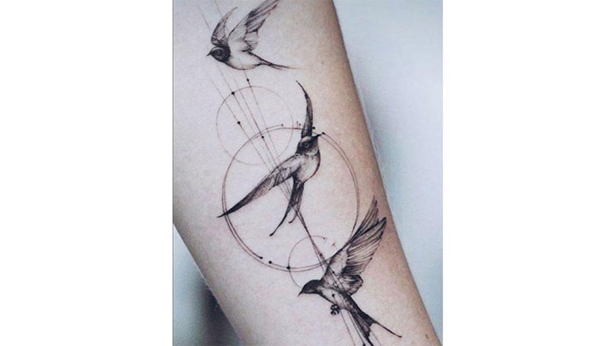 Kırlangıçlar Hakkında 10 Enteresan Bilgi: Türk Kültürü İçin Neden Kutsal Bir Hayvan?