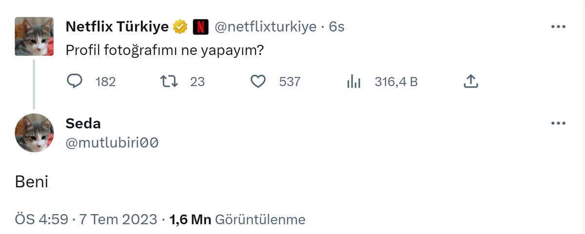 Netflix Türkiye Kullanıcısını Kırmadı: Twitter Profil Fotoğrafını Kedi Fotoğrafıyla Değiştirdi