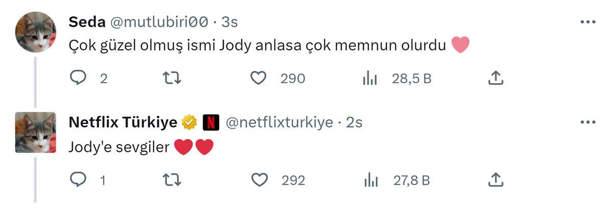 Netflix Türkiye Kullanıcısını Kırmadı: Twitter Profil Fotoğrafını Kedi Fotoğrafıyla Değiştirdi