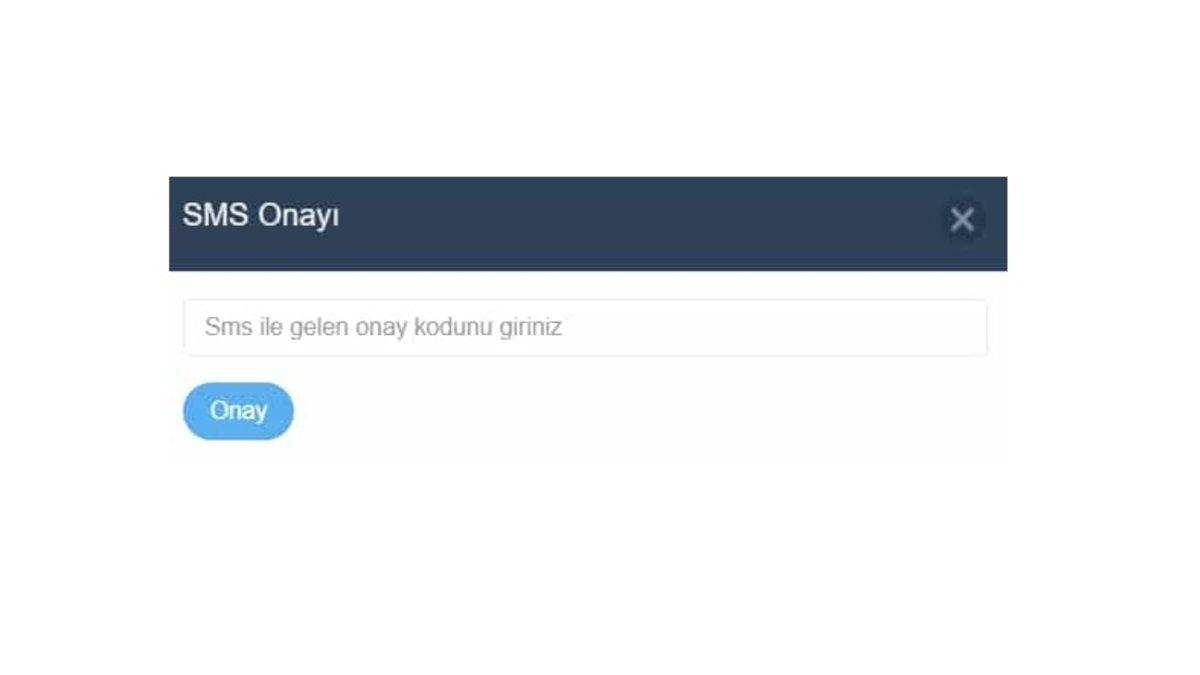 Birkaç Basit Adımda e-Nabız Şifresi Nasıl Alınır?