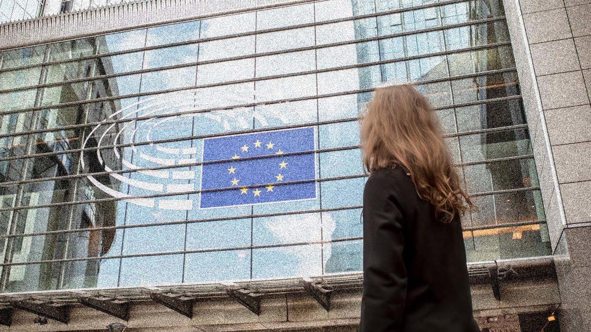 Avrupa Birliği Üyesi Olup Euro Para Birimine Geçersek Ne Olur? (Bu Sefer Alacaklar Galiba)