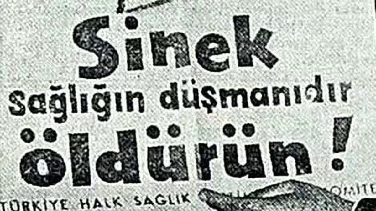 64 Yıl Önce İstanbul’da Halkın Toplu Sinek Avına Çıktığı Tuhaf Vaka: Katılmayanlara Para Cezası Veriliyordu!