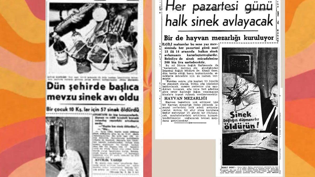 64 Yıl Önce İstanbul’da Halkın Toplu Sinek Avına Çıktığı Tuhaf Vaka: Katılmayanlara Para Cezası Veriliyordu!