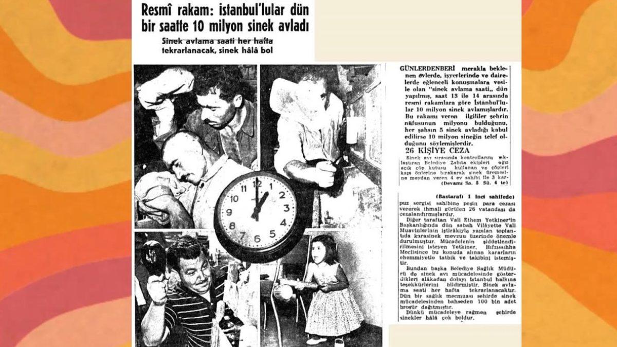 64 Yıl Önce İstanbul’da Halkın Toplu Sinek Avına Çıktığı Tuhaf Vaka: Katılmayanlara Para Cezası Veriliyordu!