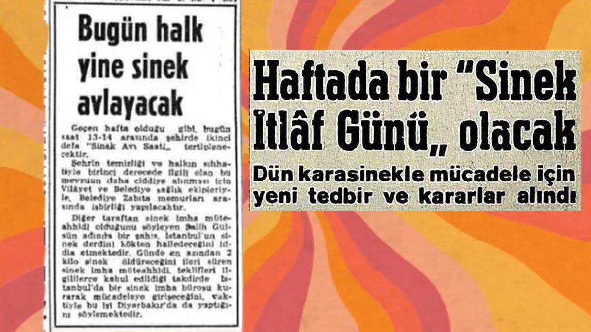 64 Yıl Önce İstanbul’da Halkın Toplu Sinek Avına Çıktığı Tuhaf Vaka: Katılmayanlara Para Cezası Veriliyordu!