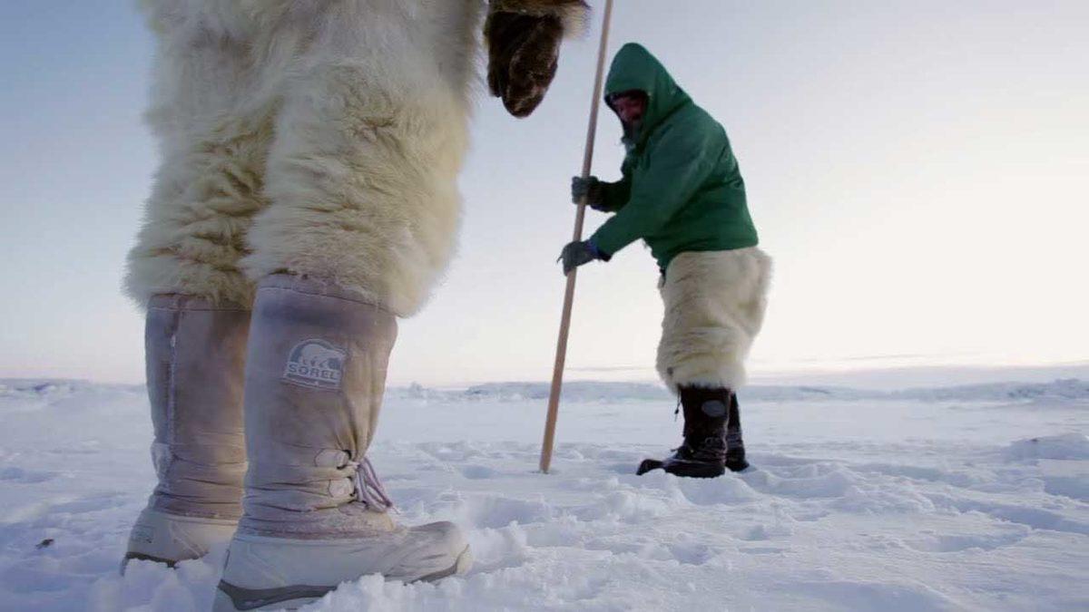 Buzlarla Kaplı Olmasına Rağmen İsminin Anlamı Neden ‘Yeşil Bölge’? Grönland Hakkında İnanmakta Zorlanacağınız 12 Bilgi