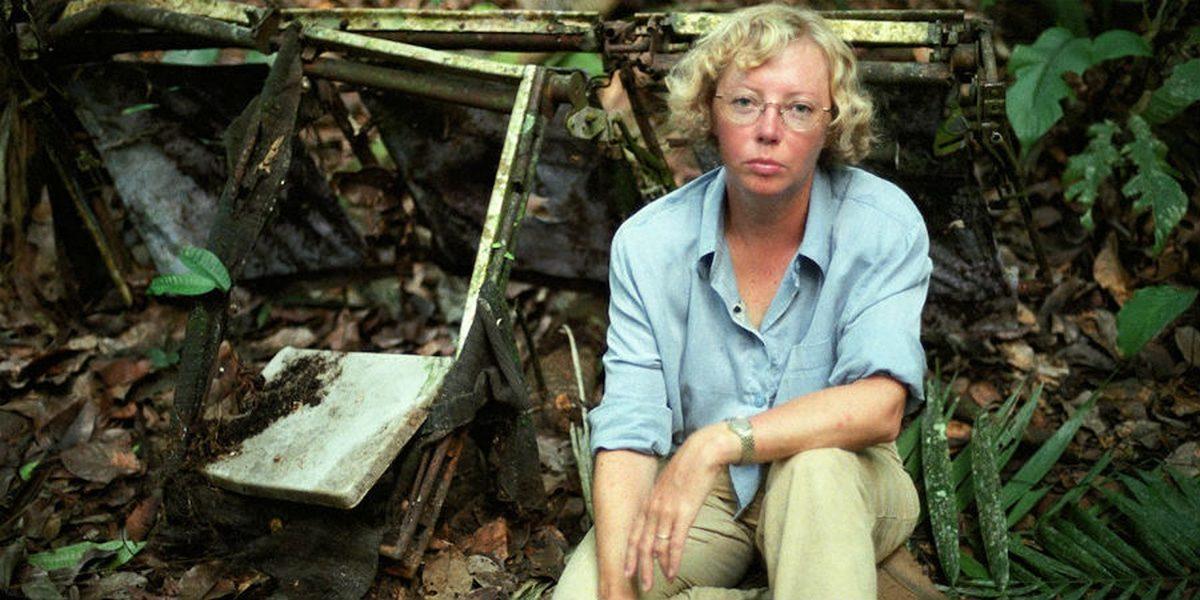 Ormana Düşen Uçaktan Tek Kurtulan Kadının Günlerce Süren Hayatta Kalma Mücadelesi