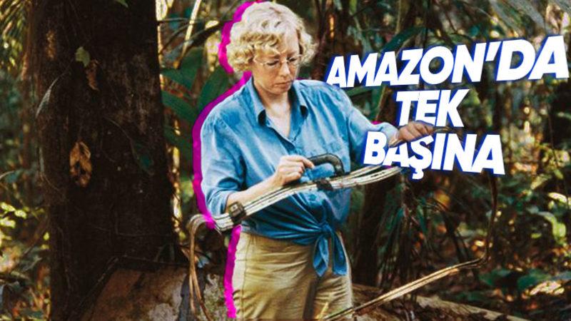 Ormana Düşen Uçaktan Tek Kurtulan Kadının Günlerce Süren Hayatta Kalma Mücadelesi