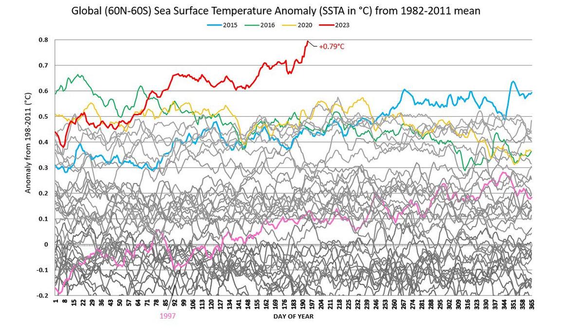 El Nino Etkisini Göstermeye Başladı: Deniz Suyu Sıcaklıklarında Rekor Seviyelere Ulaşıldı