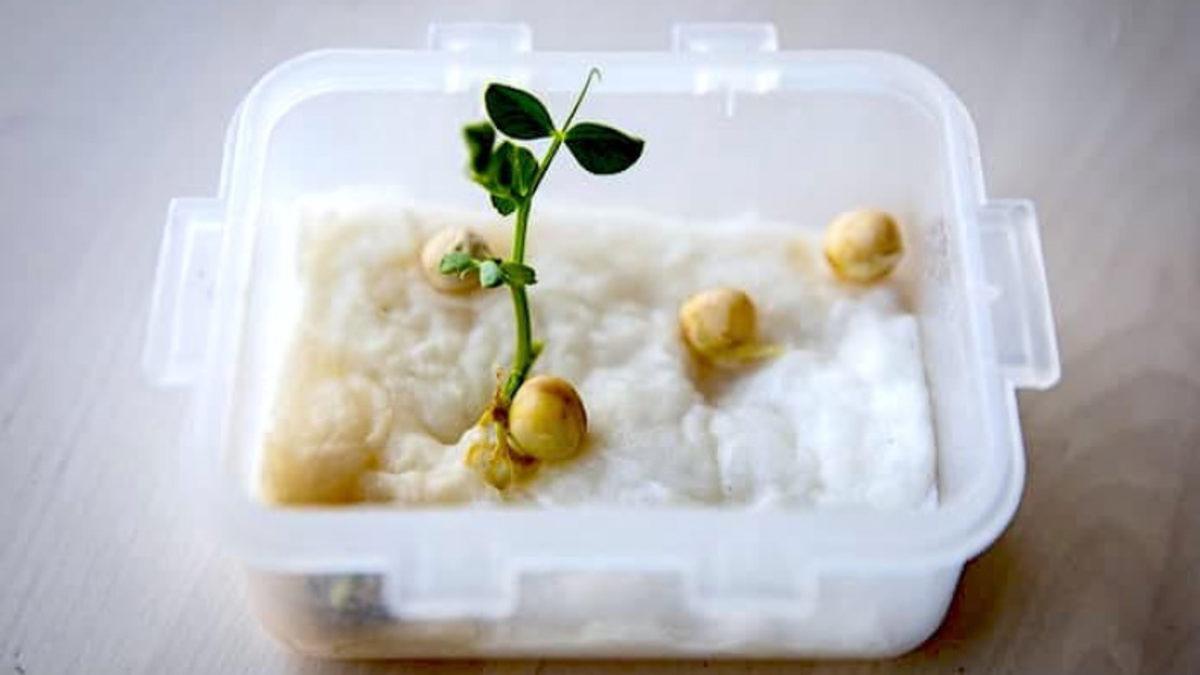 Çocukken Okulda Yaptığımız Bu Bilimsel Deneyleri Hatırlayınca İçiniz Cızz Edecek!