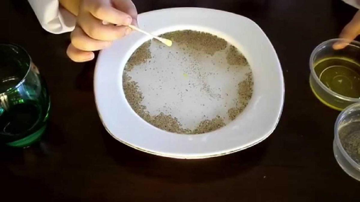 Çocukken Okulda Yaptığımız Bu Bilimsel Deneyleri Hatırlayınca İçiniz Cızz Edecek!