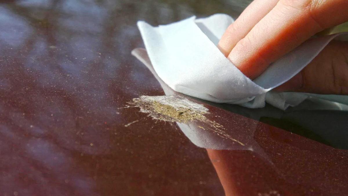 Kuş Pisliklerinin Aracın Boyasına Verdiği Zararı Görünce Bundan Sonra İki Kez Dikkat Edeceksiniz!