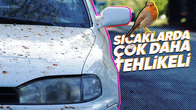 Kuş Pisliklerinin Aracın Boyasına Verdiği Zararı Görünce Bundan Sonra İki Kez Dikkat Edeceksiniz!