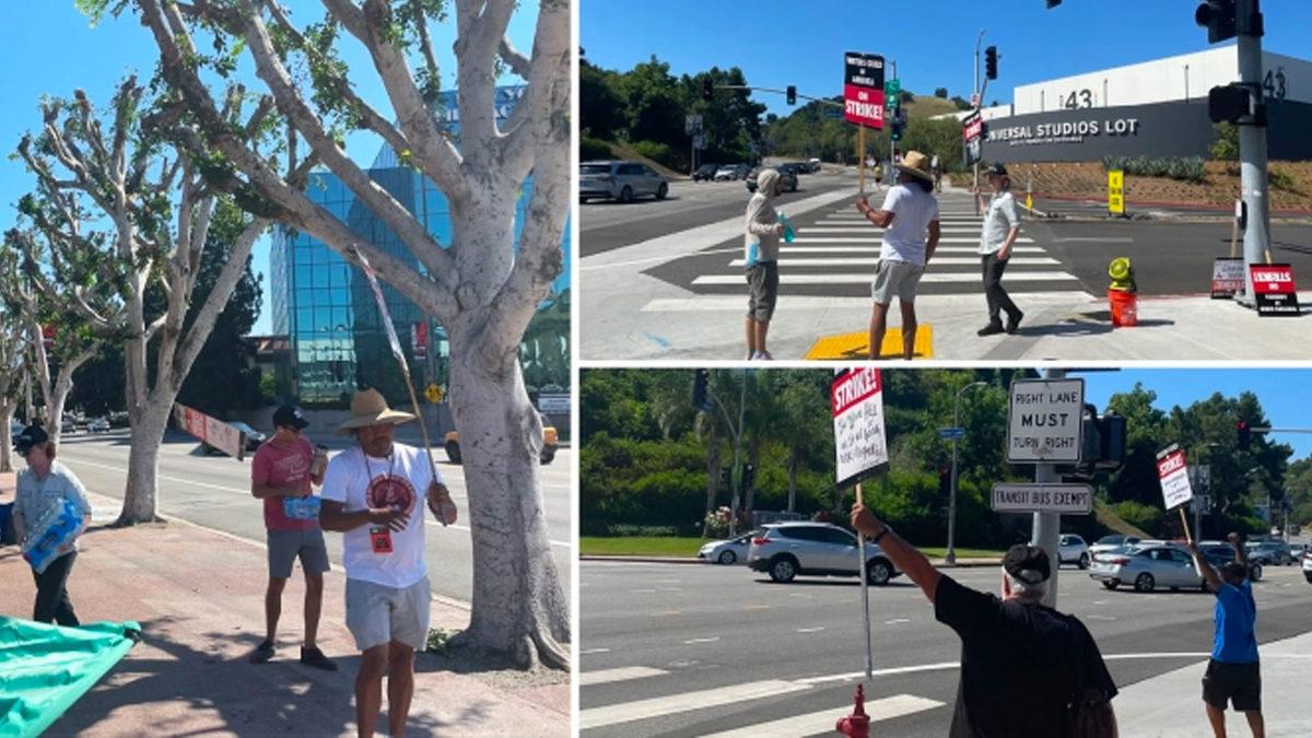 Hollywood Bu şekilde Kötülüğü Filmlerde Bile İşlemedi 2 Hollywood Böyle Kötülüğü Filmlerde Bile İşlemedi: Oyuncuların Eylemini Engellemek Adına Ağaçlar Kesildi!