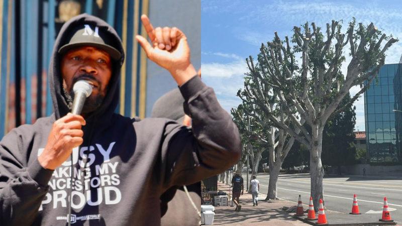 Hollywood Böyle Kötülüğü Filmlerde Bile İşlemedi: Oyuncuların Eylemini Engellemek Adına Ağaçlar Kesildi!