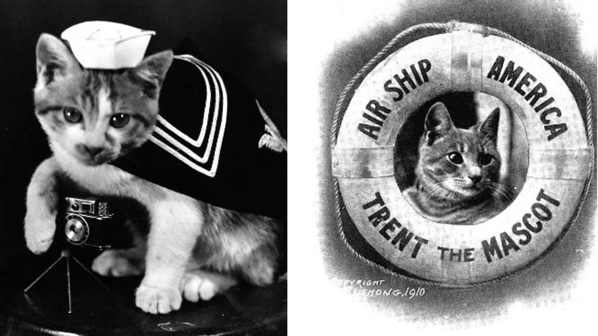 Kim Demiş Kediler Su Sevmez Diye: Bir Zamanlar Mürettebatla Açık Denizlere Açılan 