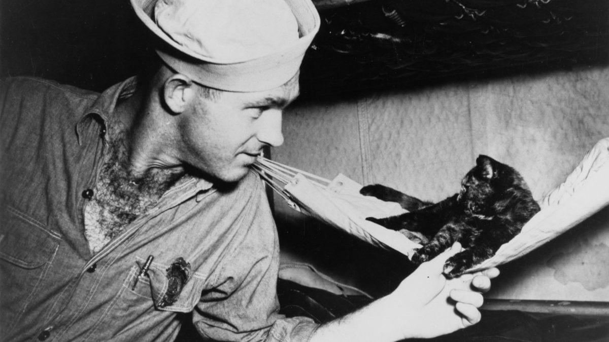 Kim Demiş Kediler Su Sevmez Diye: Bir Zamanlar Mürettebatla Açık Denizlere Açılan 