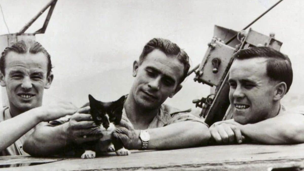 Kim Demiş Kediler Su Sevmez Diye: Bir Zamanlar Mürettebatla Açık Denizlere Açılan 