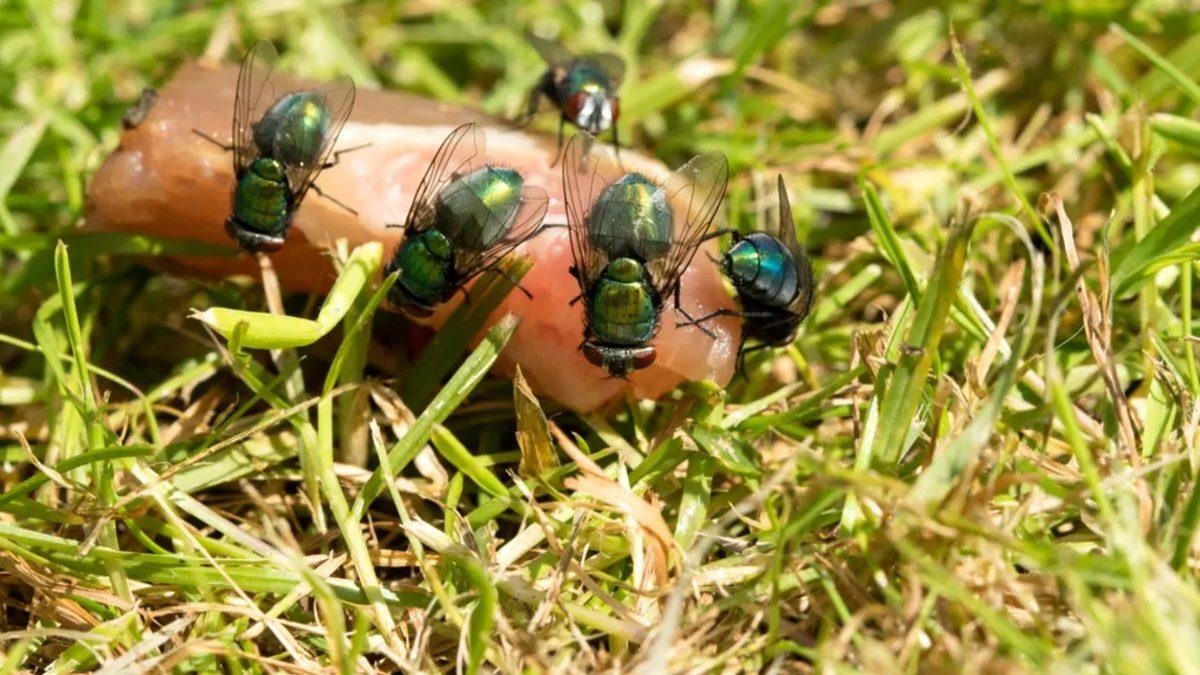 Suç Vakalarını Daha İyi Çözebilmek Adına Yapılan 