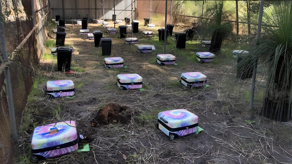 Suç Vakalarını Daha İyi Çözebilmek Adına Yapılan 