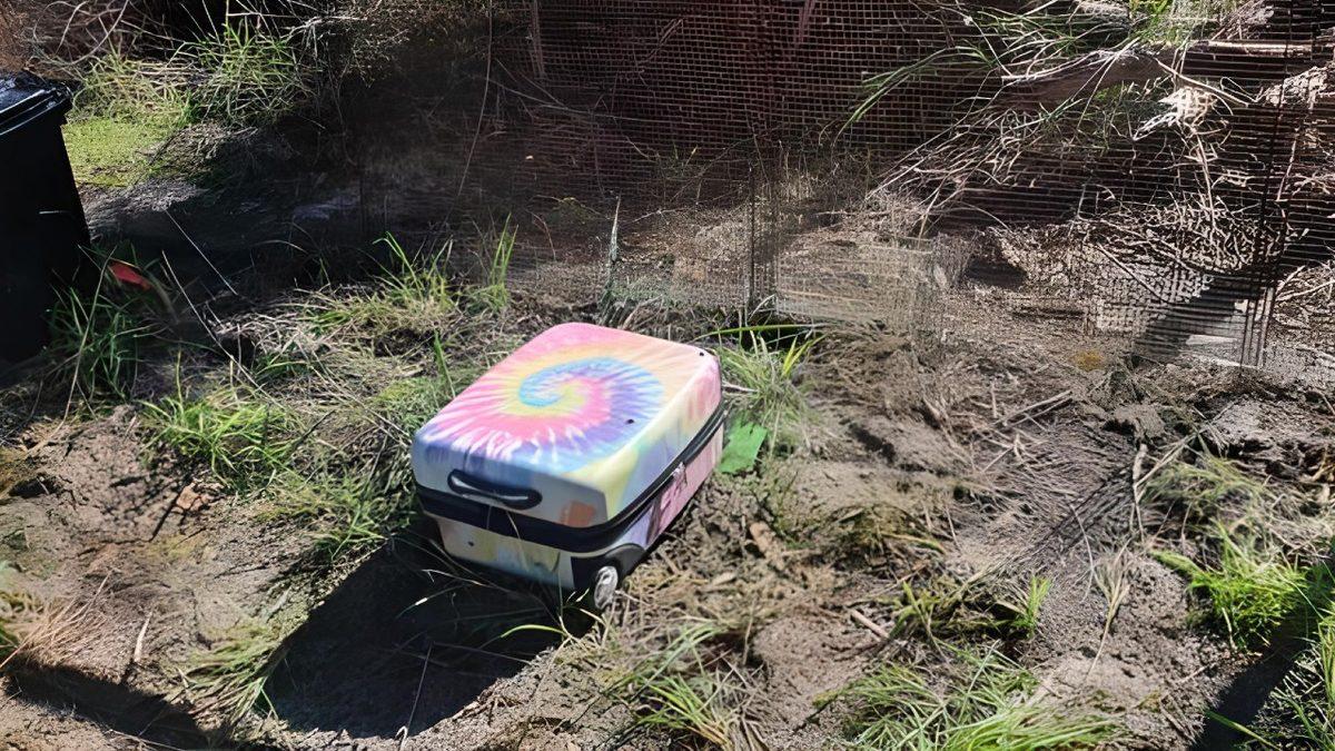 Suç Vakalarını Daha İyi Çözebilmek Adına Yapılan 