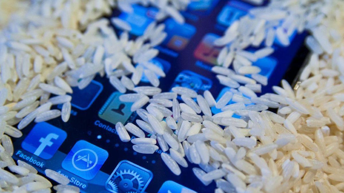 Islanan Telefonunuzu Pirince Yatırıyorsanız Bu İçeriği Okuduktan Sonra Bir Daha Yapmayacaksınız!