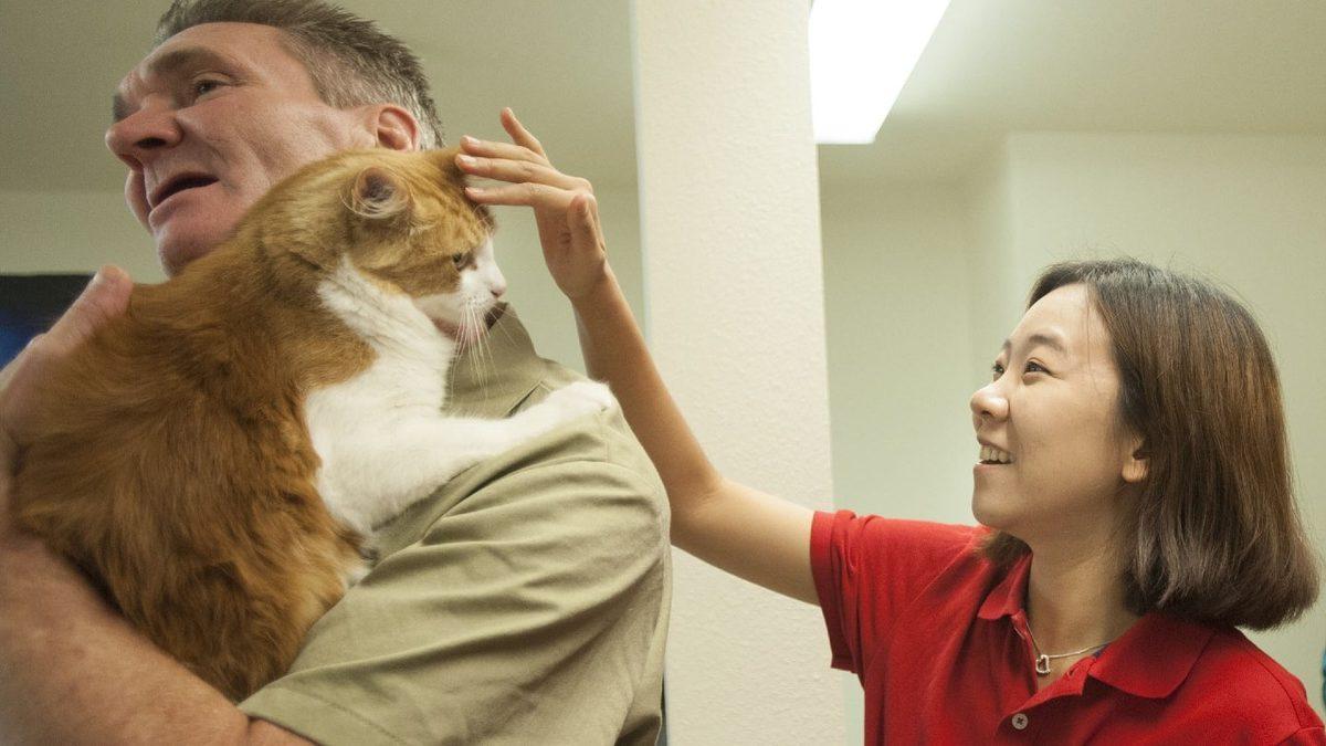 Herhangi Bir Suça Karışmamalarına Rağmen Hapishanede Yaşayan Kediler: Aslında Harika Bir Amaca Hizmet Ediyorlar!