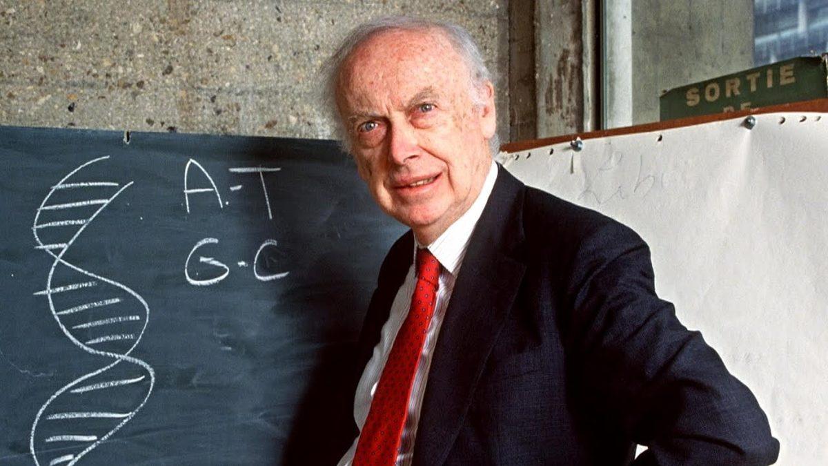 Aslında Her Gün Mutasyona Uğruyoruz: İnsanı İnsan Yapan DNA Hakkında Hayret Verici 9 Bilimsel Gerçek