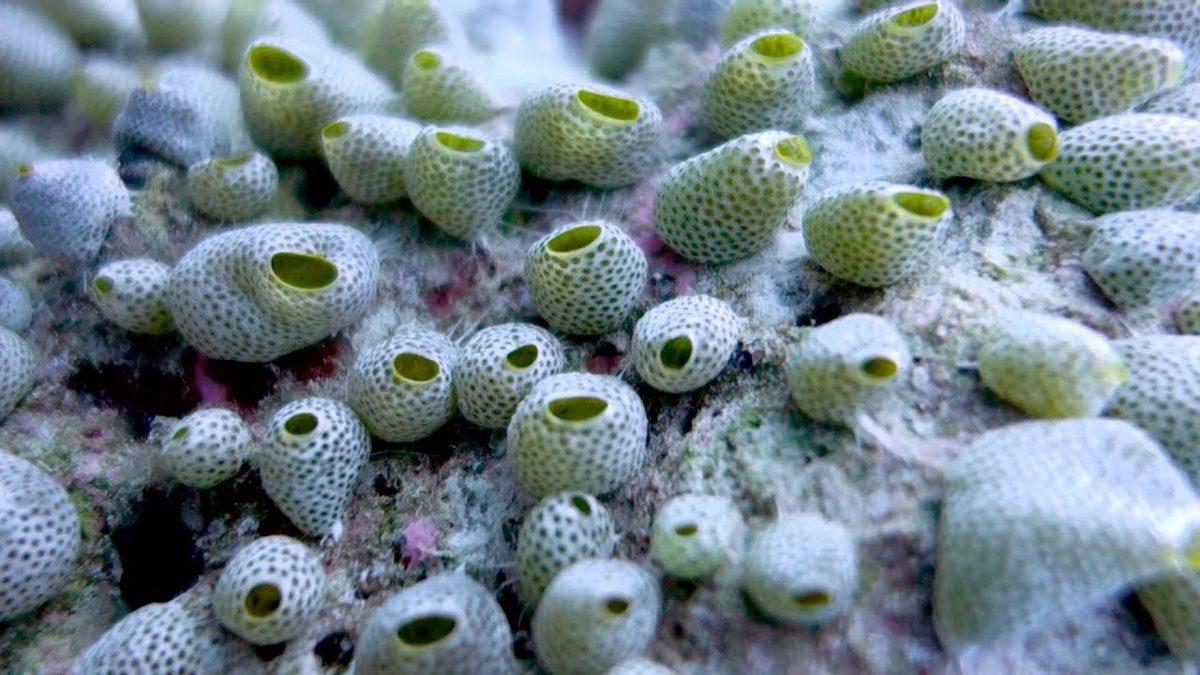 Aslında Her Gün Mutasyona Uğruyoruz: İnsanı İnsan Yapan DNA Hakkında Hayret Verici 9 Bilimsel Gerçek