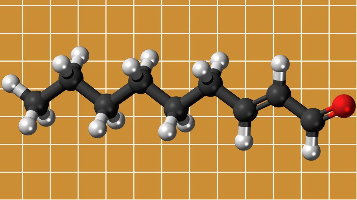 ’Yaşlı Kokusu’ Dediğimiz Kokunun Sebebi Ne? Hayır, Hacı Yağı veya Naftalin Değil