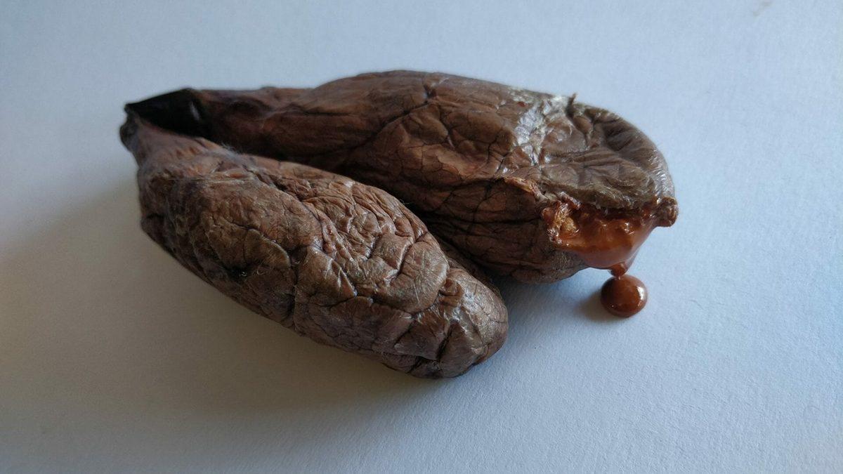 O Dondurmayı Yalarken İki Kez Düşünün: Vanilya Özü, Aslında Kunduzların 