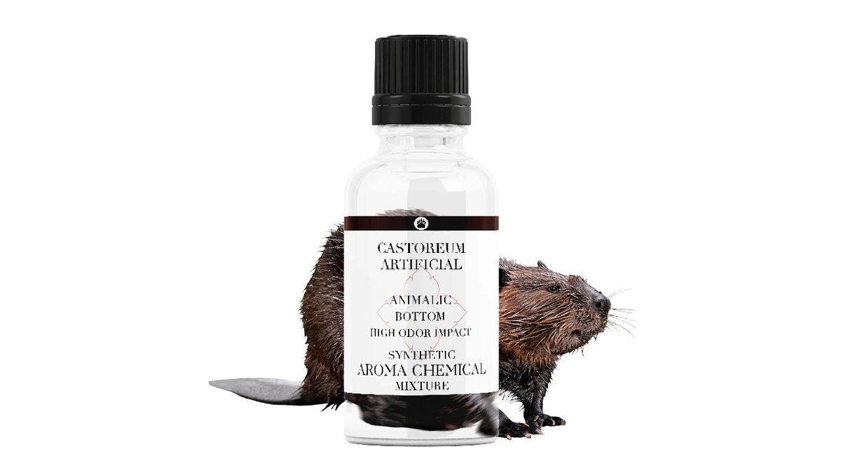 O Dondurmayı Yalarken İki Kez Düşünün: Vanilya Özü, Aslında Kunduzların 