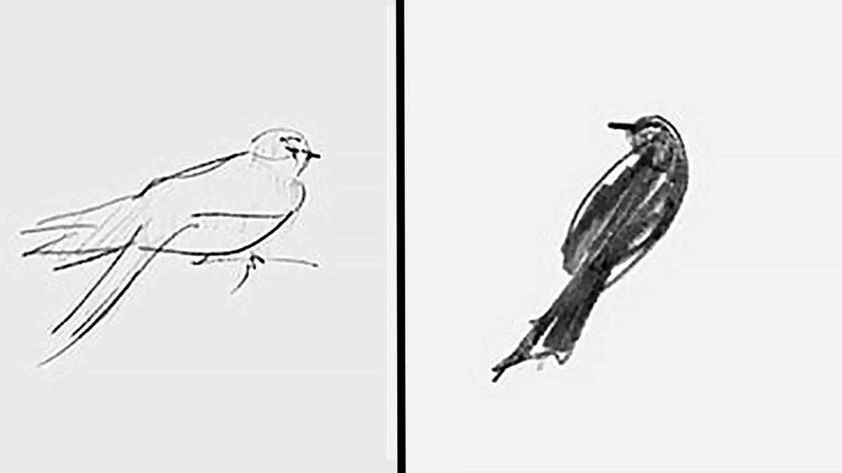 Unutursak Kalbimiz Kurusun: Twitter’ın Meşhur 