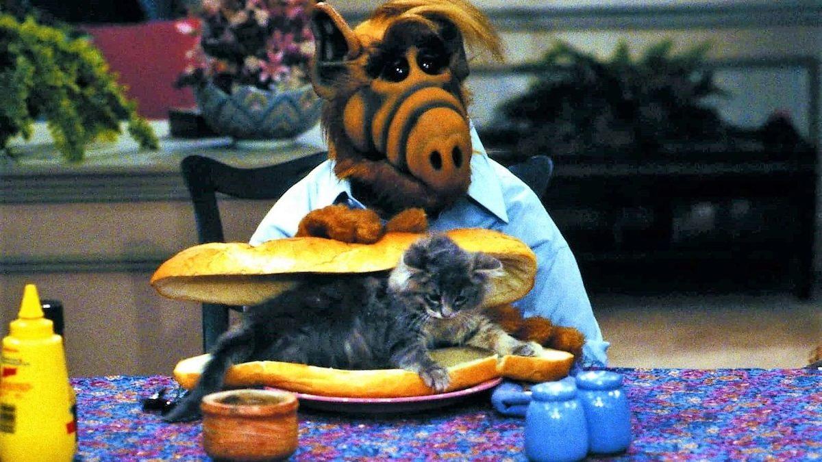 Bütün Kediler Bir Anda Yok Olsaydı Gezegenimizde Ne Gibi Değişiklikler Olurdu? (Kalp Krizi Riskimiz Bile Artabilir!)