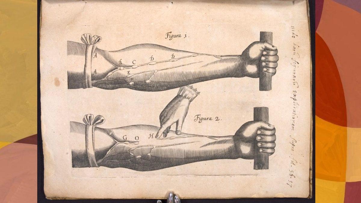 Kan Kaybını Önlemek İçin Eskiden Hekimlerin Uyguladığı Akla Hayale Gelmeyecek Yöntemler