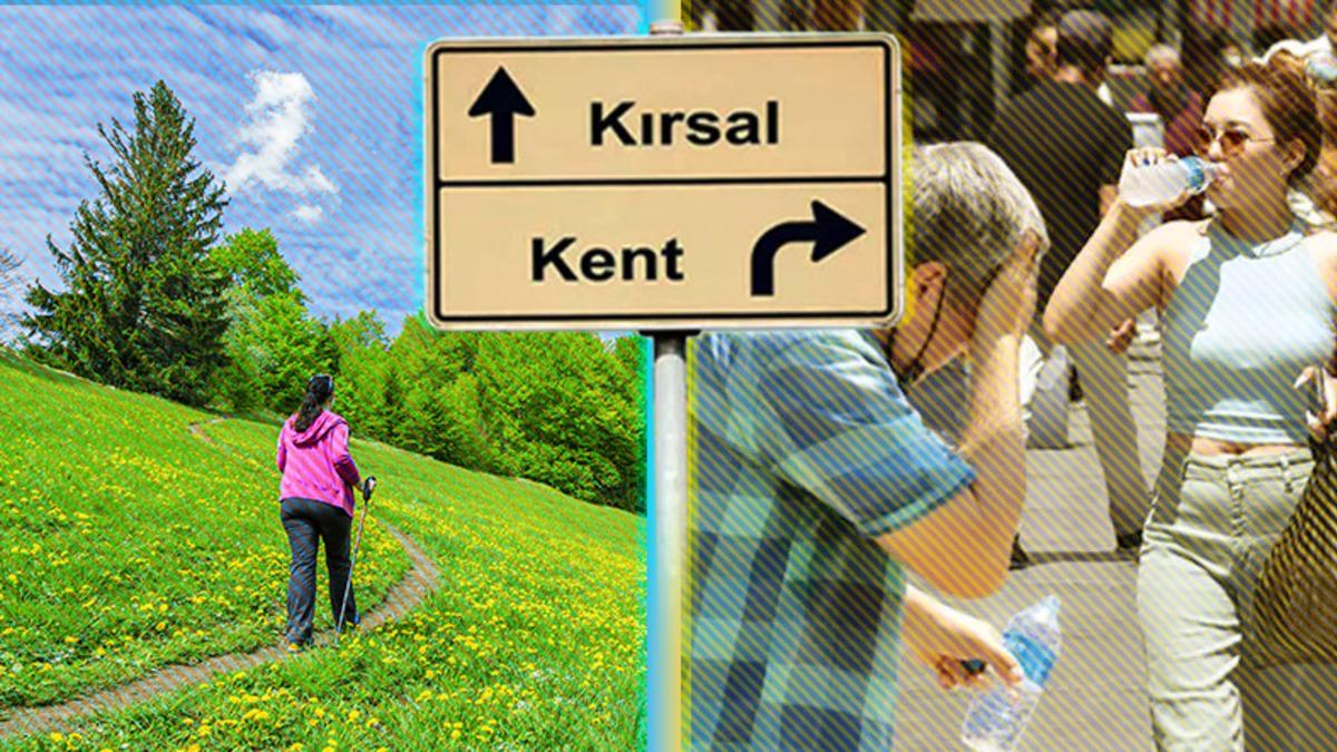 Şehirlerin Kırsal Bölgelere Kıyasla Çok Daha Sıcak Olmasının Hiç Hoşunuza Gitmeyecek Sebepleri