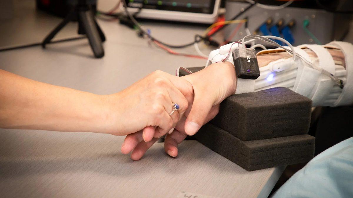 Beyne Yerleştirilen Yapay Zekâ Destekli Çip, Felçli Bir Adamın Kolunu Tekrar Hareket Ettirmesini Sağladı