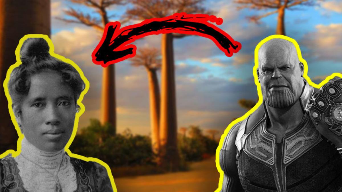 Bir Dönem Ülke Nüfusunun Yarı Yarıya Düşmesine Neden Olacak Kadar Acımasız Bir Kraliçeye Sahip Olan Ülke: Madagaskar Hakkında 11 İlginç Bilgi