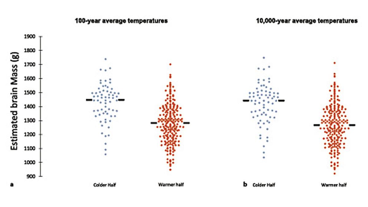 Sıcaklar Sadece Ten Rengimizi Değil Beynimizi de Değiştiriyormuş: Etkisini Öğrenince Sonuç Pek Hoşunuza Gitmeyecek!