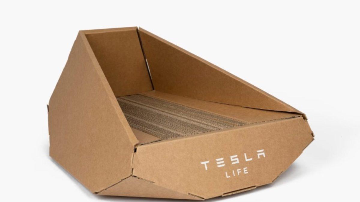 Biz Cybertruck Beklerken, Yerine Kedi Yatağı Geldi: Hem de Neme Dayanıklı Kartondan!