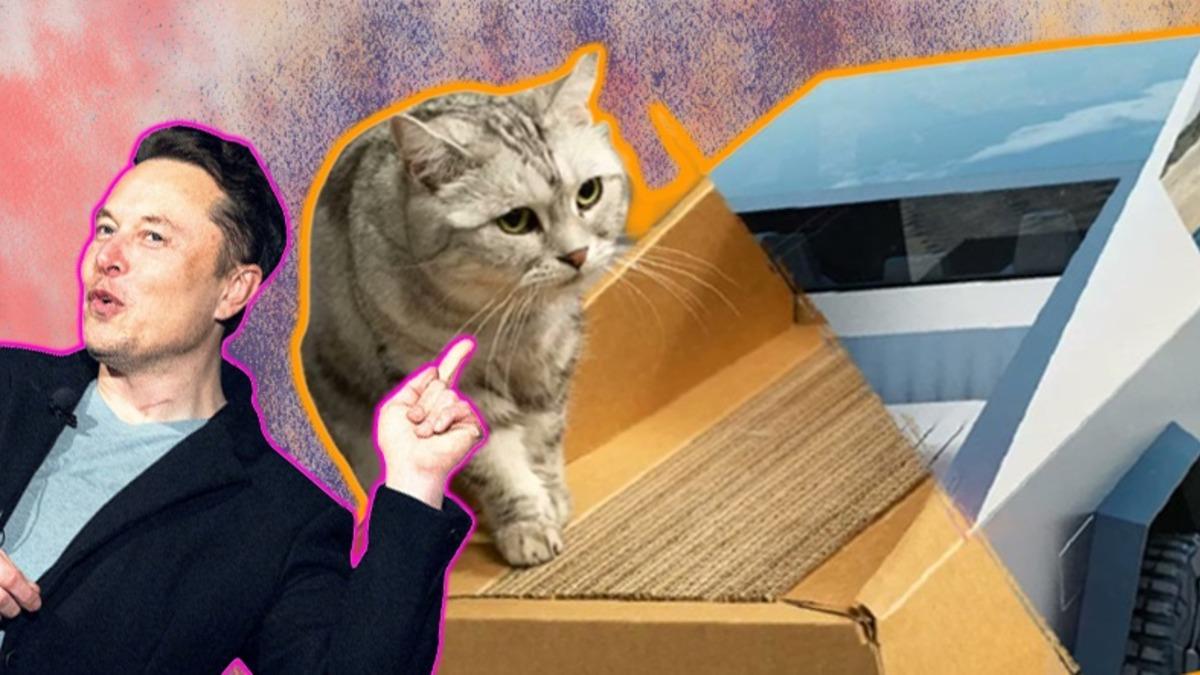 Biz Cybertruck Beklerken, Yerine Kedi Yatağı Geldi: Hem de Neme Dayanıklı Kartondan!
