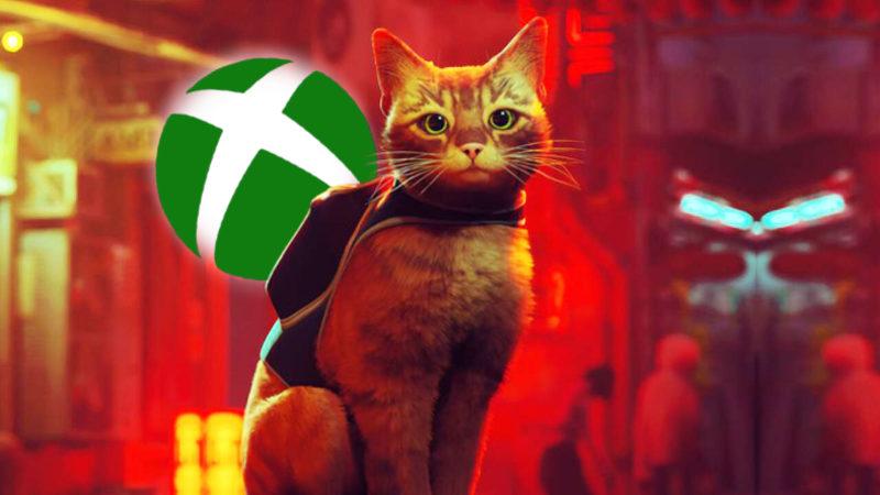 Popüler Kedi Simülatörü Stray, Nihayet Xbox’a da Geldi: Türkiye Fiyatı Ne Kadar?