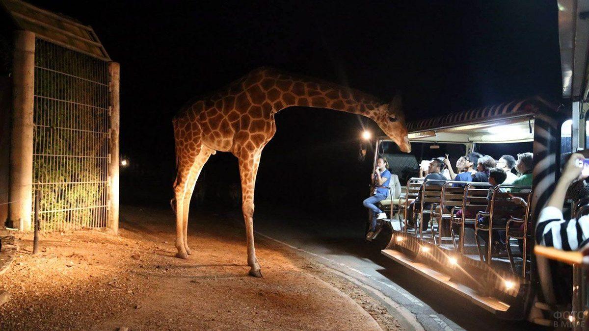 İlginç Yasaklarına Rağmen Dünyanın En Büyük Ticaret Merkezlerinden Singapur Hakkında 8 Bilgi