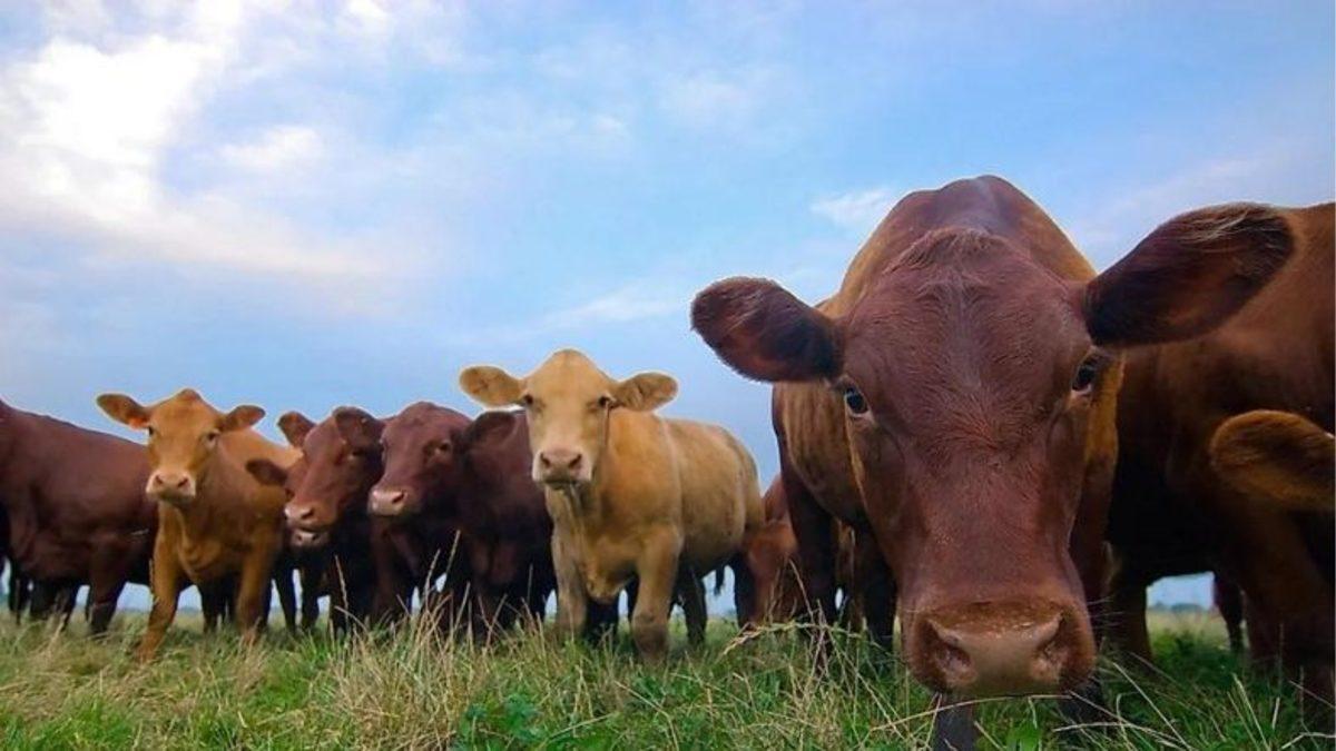 Dünyanın En Uzun Milli Marşına Sahip Uruguay’ın Ne Kadar İlginç Bir Ülke Olduğunu Kanıtlayan Bilgiler
