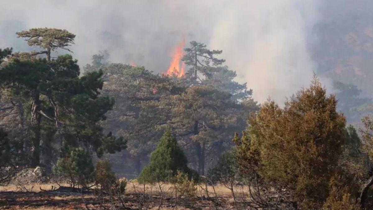 Türkiye Yanıyor! Yüksek Sıcaklıklar Yüzünden Dün, 8 Şehirde Birden Yangın Çıktı
