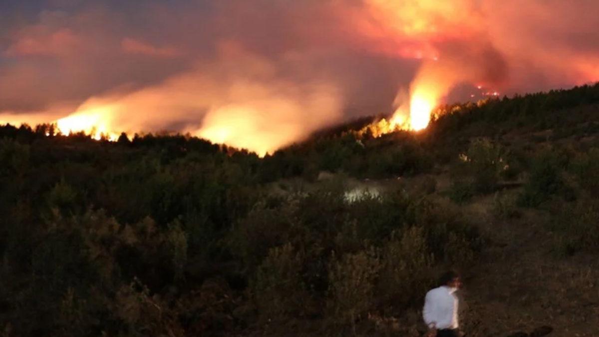 Türkiye Yanıyor! Yüksek Sıcaklıklar Yüzünden Dün, 8 Şehirde Birden Yangın Çıktı