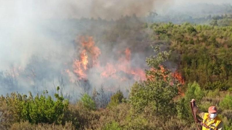 Türkiye Yanıyor! Yüksek Sıcaklıklar Yüzünden Dün, 8 Şehirde Birden Yangın Çıktı