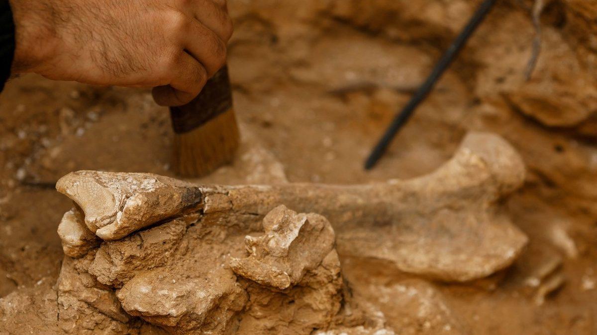 İnsanlığın Geçmişine Işık Tutup Bugünü Daha İyi Anlamamızı Sağlayan, Tarihe Geçmiş 8 Arkeolojik Keşif