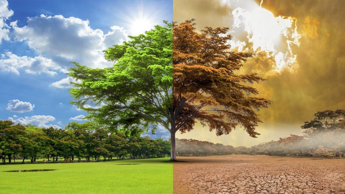 Dünya’daki Tüm Okyanus, Deniz ve Göller İçme Suyuna Dönüşseydi Nolurdu? Emin Olun, Hiç İstemezdiniz!